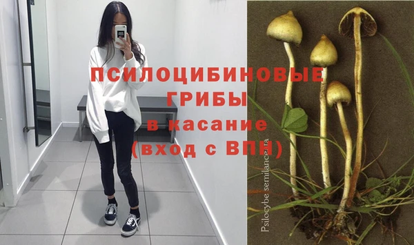 стафф Абаза